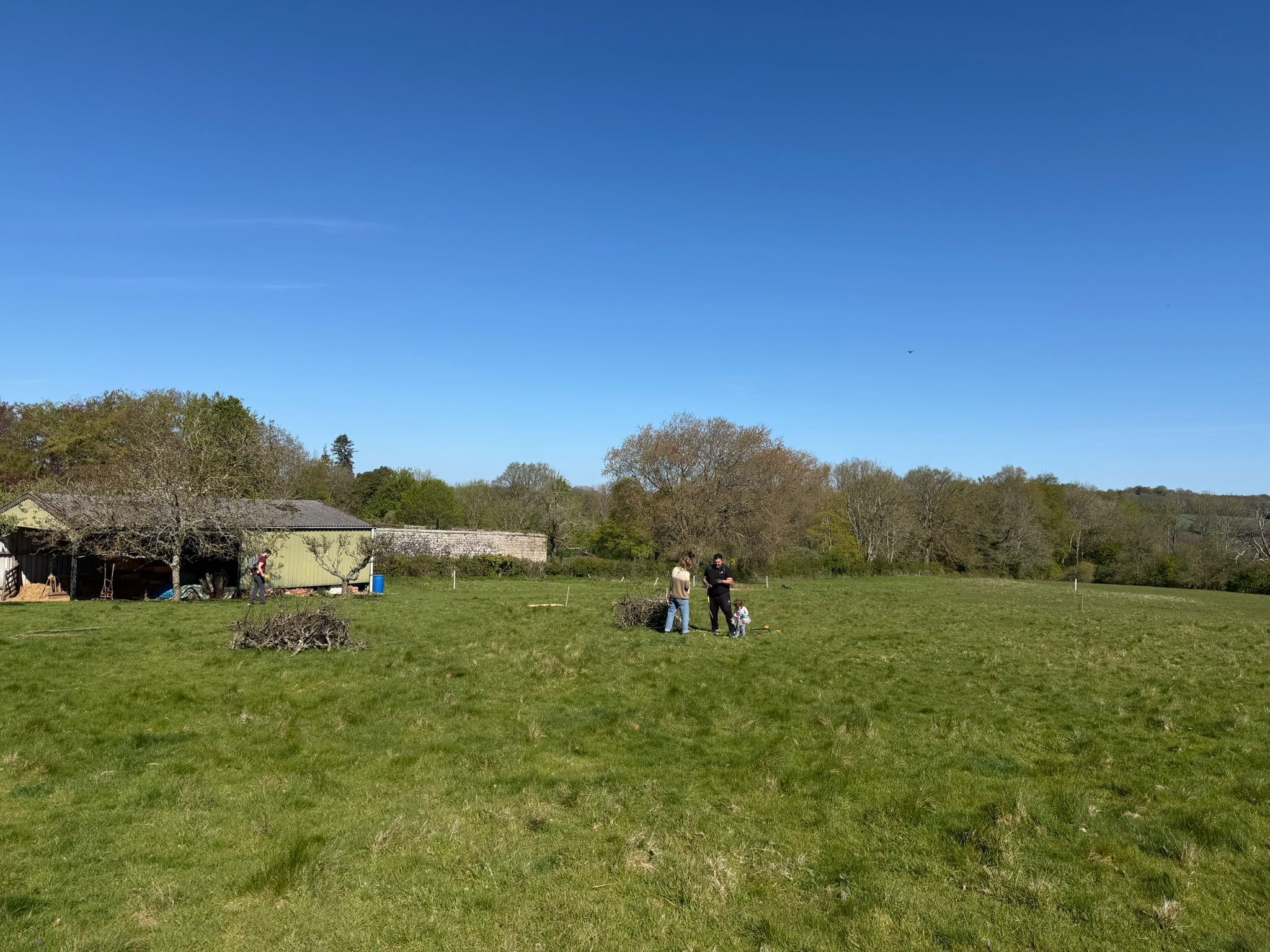 Wide field view at The Coach House dig